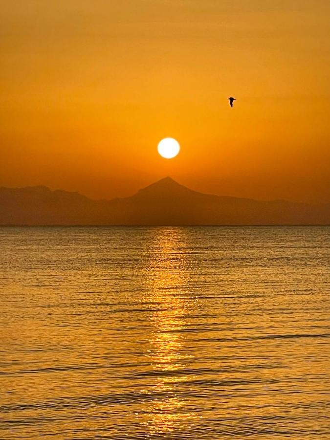La Urbanizacion Cerca Del Mar Apartment Dénia